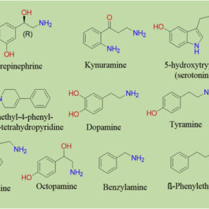 Buy Monoamine neurotransmitters