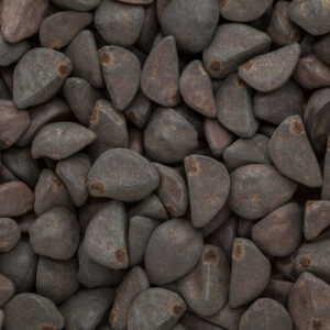 Buy Ergine (LSA or LAA) Cas 478-94-4